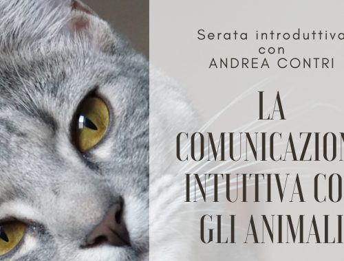 Animal Talk Italia 2022