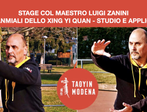 Xing Yi Quan col Maestro Luigi Zanini
